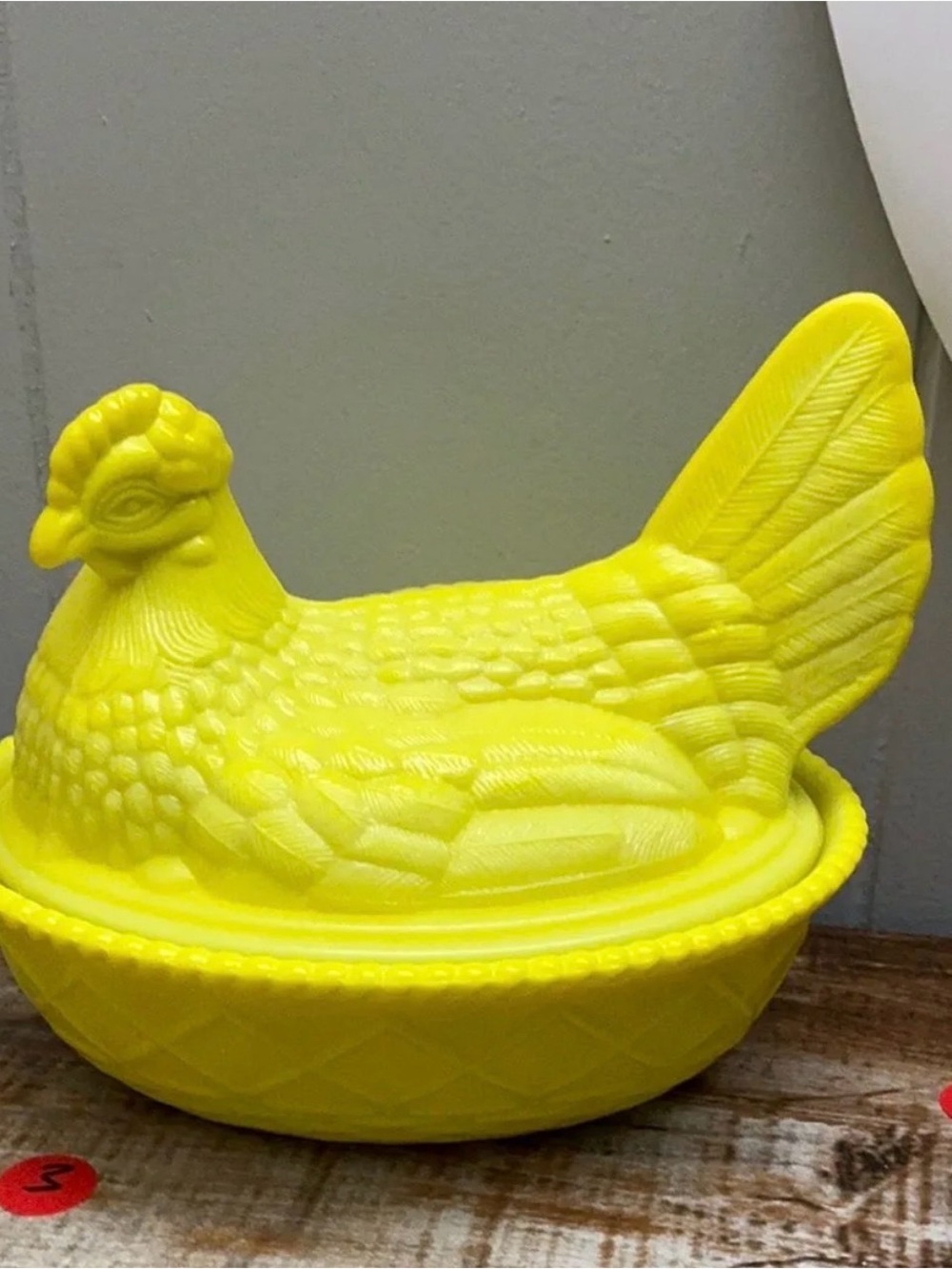 Yellow Dandelion Hen on Nest